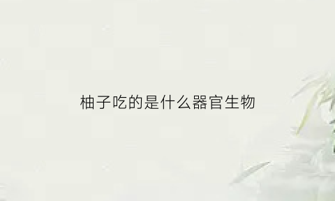 柚子吃的是什么器官生物(柚子吃的是什么器官生物图片)
