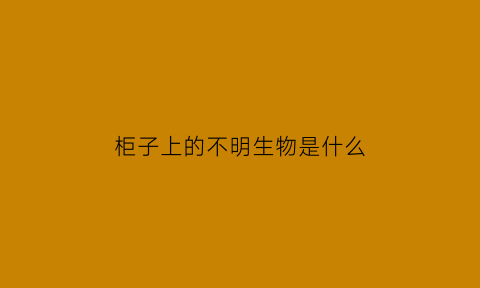 柜子上的不明生物是什么(柜子里有好东西)