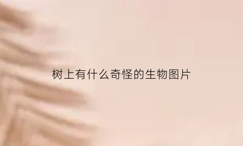 树上有什么奇怪的生物图片(树上有啥)