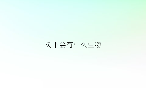 树下会有什么生物(树下面有什么)