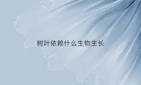 树叶依赖什么生物生长