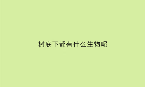 树底下都有什么生物呢(树底下有什么昆虫)