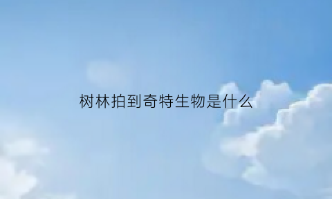 树林拍到奇特生物是什么(树林中拍照)