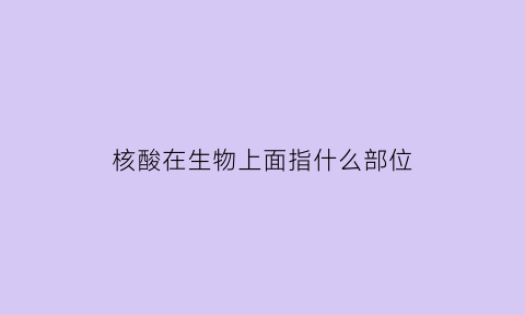 核酸在生物上面指什么部位(核酸生物是什么)