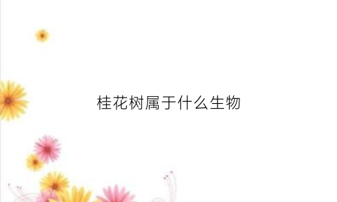 桂花树属于什么生物(桂花树属于什么生物类群)