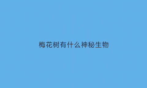梅花树有什么神秘生物(梅花树的)