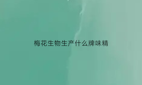 梅花生物生产什么牌味精(梅花味精是500强吗)