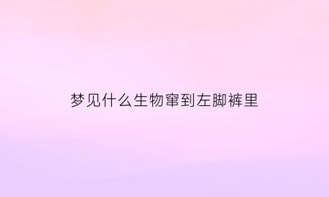 梦见什么生物窜到左脚裤里(梦见什么生物窜到左脚裤里去了)