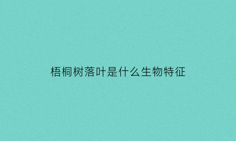 梧桐树落叶是什么生物特征