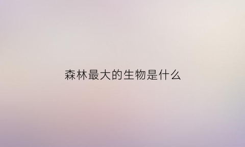 森林最大的生物是什么(森林中最大的动物是什么动物)