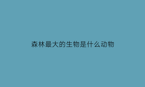 森林最大的生物是什么动物(最大的森林是什么森林)