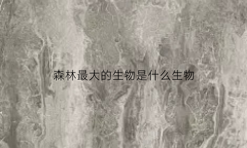 森林最大的生物是什么生物(森林最大的生物是什么生物呢)