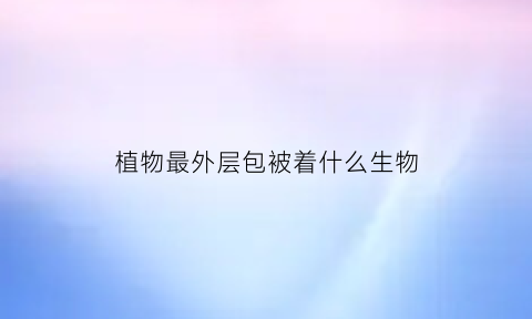 植物最外层包被着什么生物(植物细胞最外一层结构是什么)