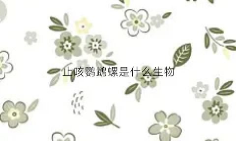 止咳鹦鹉螺是什么生物(鹦鹉螺壳有什么作用)