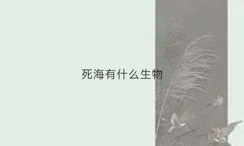 死海有什么生物