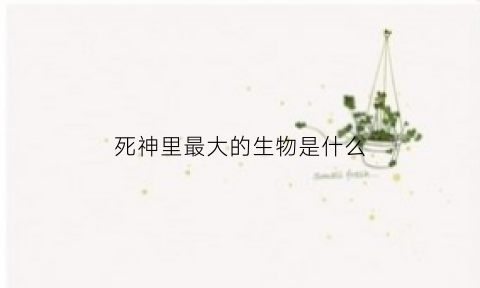 死神里最大的生物是什么(死神中的最强死神)