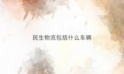民生物流包括什么车辆(民生物流创始人是谁)