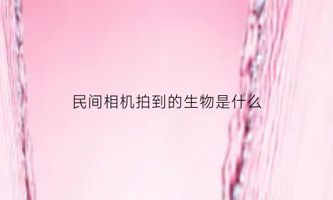 民间相机拍到的生物是什么(相机真的能拍到鬼吗)