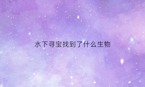 水下寻宝找到了什么生物(水里寻宝视频)