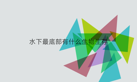 水下最底部有什么生物生存(水底下都有什么)