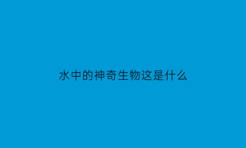 水中的神奇生物这是什么(水里的神奇生物)