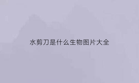 水剪刀是什么生物图片大全(水较剪学名)