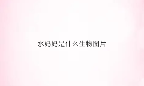 水妈妈是什么生物图片(什么是水妈妈的孩子)