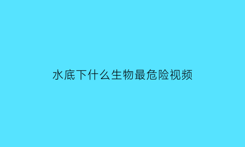 水底下什么生物最危险视频(水底下到底有什么)