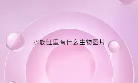 水族缸里有什么生物图片(水族缸长什么样子)