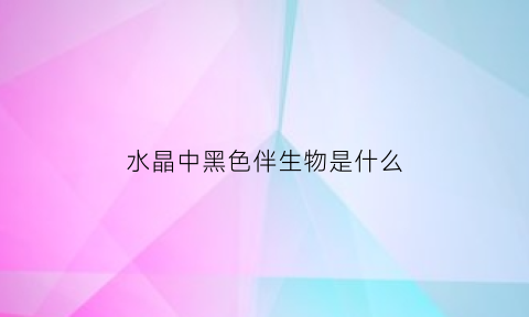 水晶中黑色伴生物是什么(水晶中黑色伴生物是什么意思)