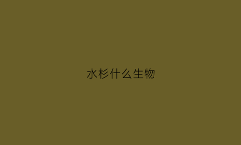 水杉什么生物(水杉是对生还是互生)