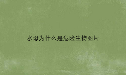 水母为什么是危险生物图片(为什么说水母的毒性是它安身立命的根本)