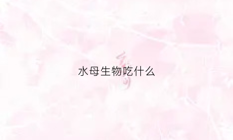 水母生物吃什么(水母的食物水母吃什么)