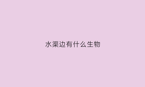 水渠边有什么生物(水渠里有鱼吗)