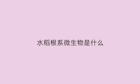 水稻根系微生物是什么(水稻根系属于何种根系类别)