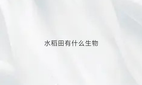 水稻田有什么生物(水稻田有什么动物)