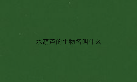 水葫芦的生物名叫什么(水葫芦是水生植物还是陆生植物)