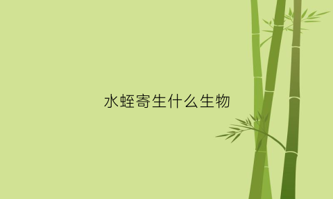 水蛭寄生什么生物(水蛭寄生虫病的治疗)