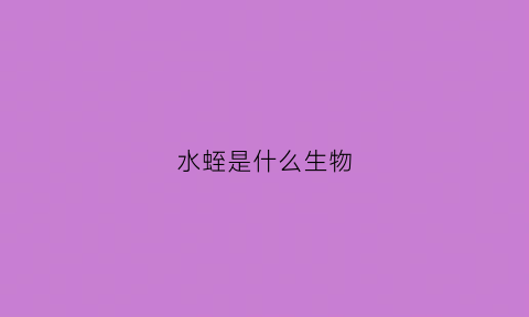 水蛭是什么生物(水蛭是什么生物百度网盘)