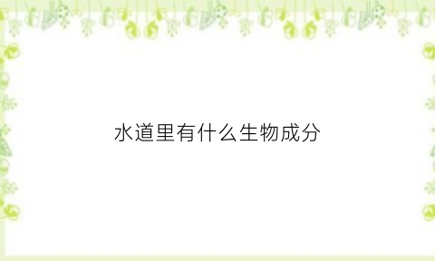 水道里有什么生物成分(水道的作用是什么)