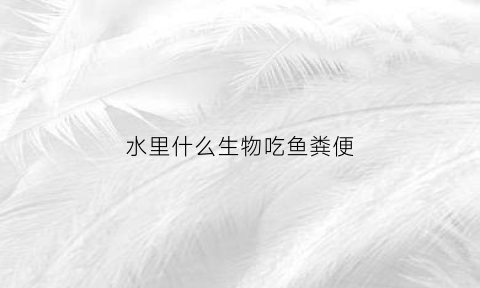 水里什么生物吃鱼粪便(什么水生动物吃鱼屎)