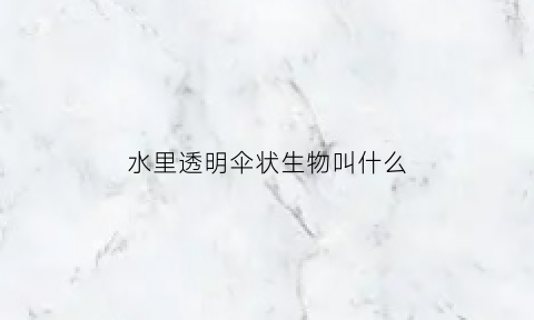 水里透明伞状生物叫什么(水里透明的东西)