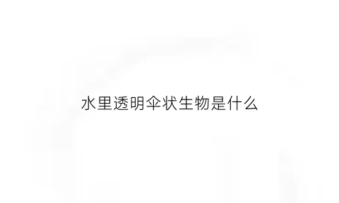 水里透明伞状生物是什么(水里透明的东西)