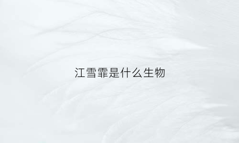 江雪霏是什么生物(江雪是谁)