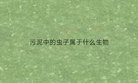 污泥中的虫子属于什么生物(污泥活性好的里面有些什么虫)
