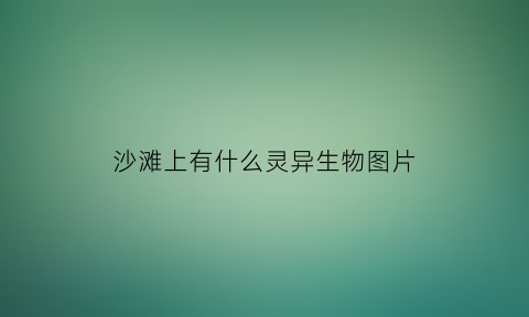 沙滩上有什么灵异生物图片