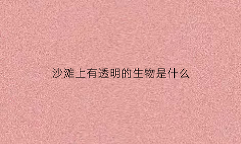 沙滩上有透明的生物是什么