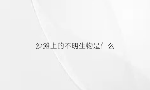 沙滩上的不明生物是什么(沙滩上的不明生物是什么意思)