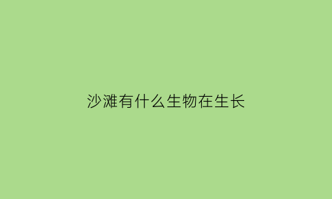 沙滩有什么生物在生长(沙滩有什么生物在生长的)