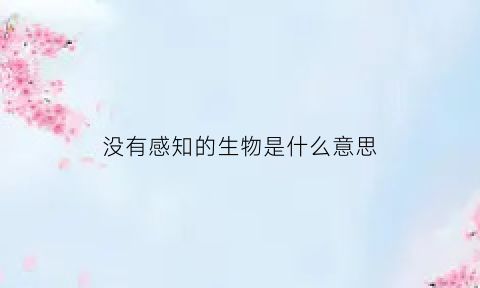 没有感知的生物是什么意思(没有感知了)